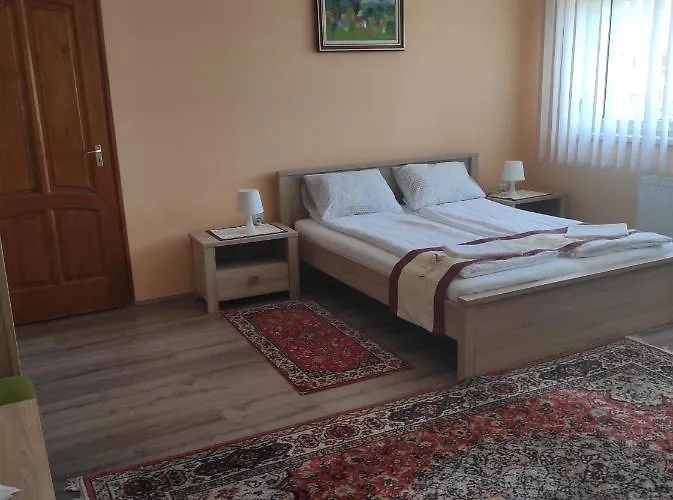 Maros Vendeghaz Pensionat