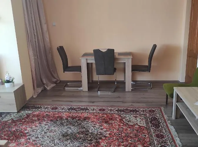 Maros Vendeghaz Pensionat